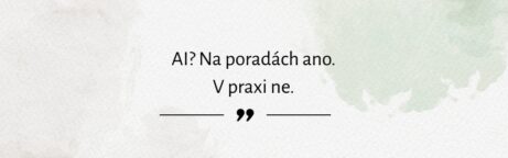 ai ve firmách