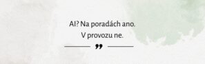 ai ve firmách