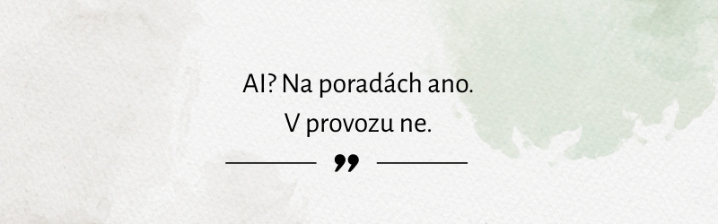 ai ve firmách